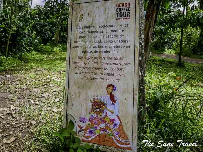 33 salento thesanetravel.com P1910106