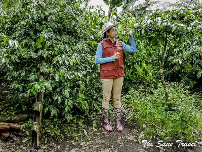 34 salento thesanetravel.com P1910113