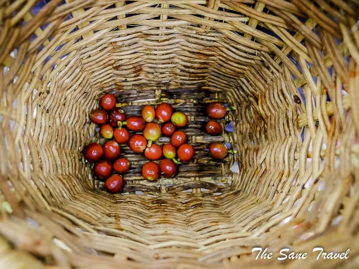 35 salento thesanetravel.com P1910122