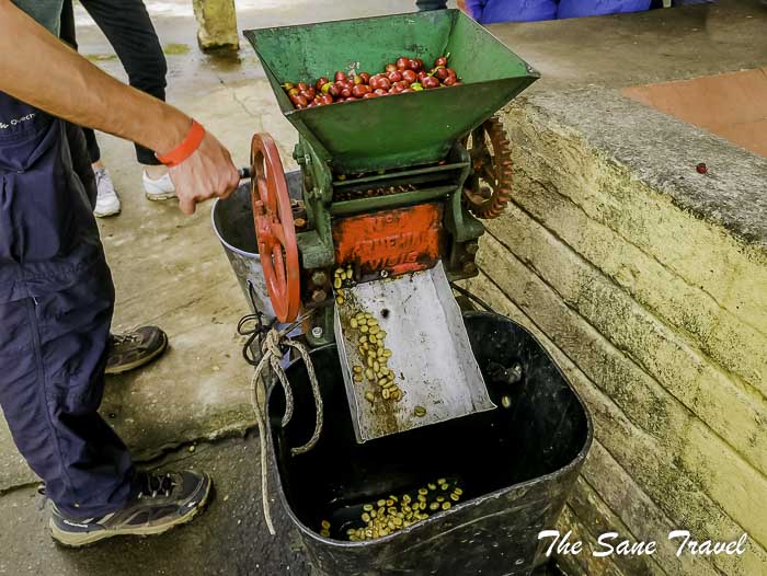 36 salento thesanetravel.com P1910135