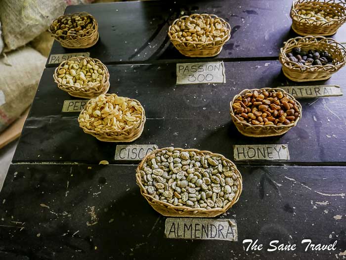 37 salento thesanetravel.com P1910142