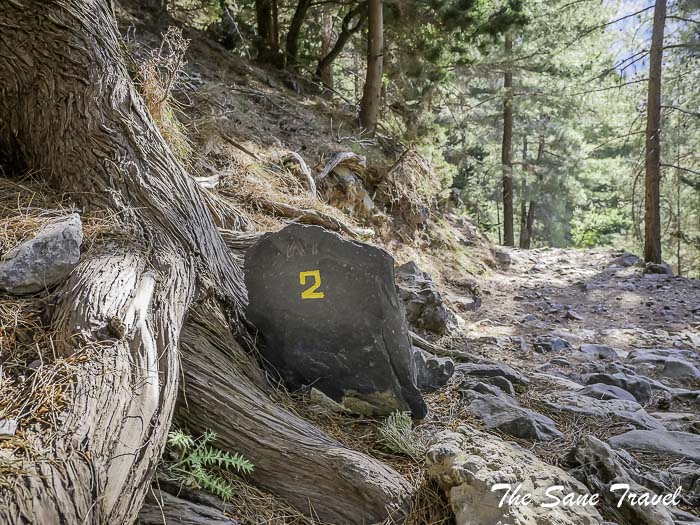 33 early chania thesanetravel.com P1041266