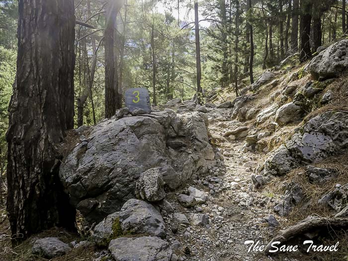 34 early chania thesanetravel.com P1041276