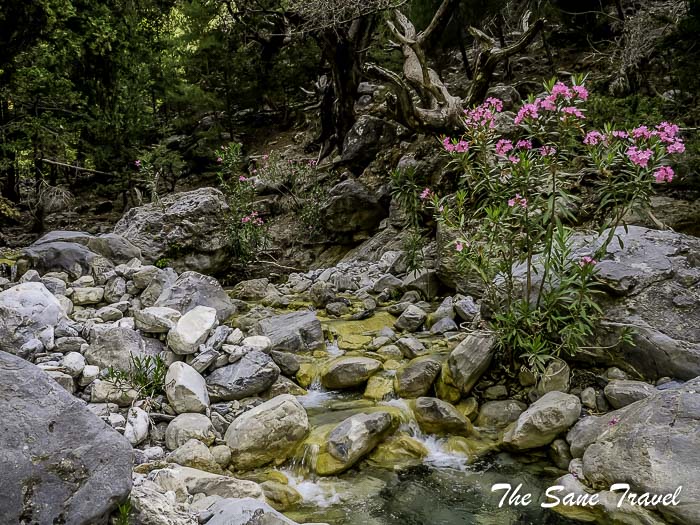 36 early chania thesanetravel.com P1041297