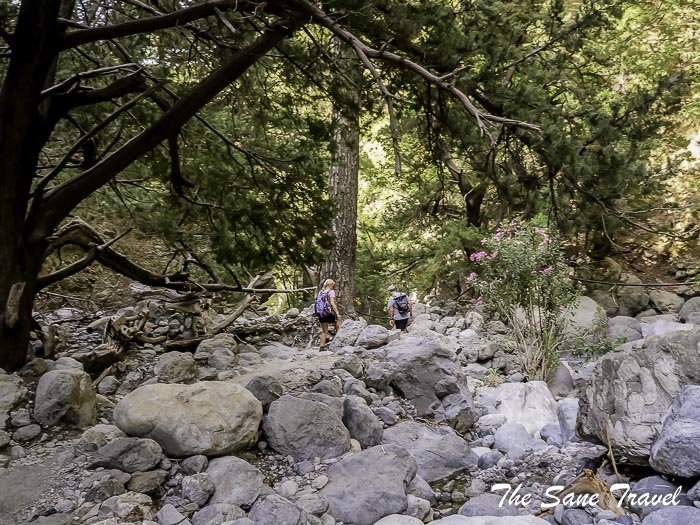 42 agios nikolaos thesanetravel.com P1041326