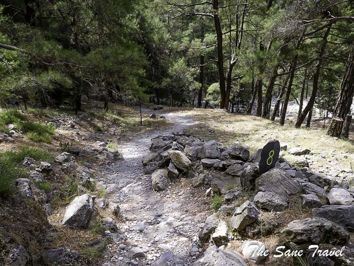 54 samaria thesanetravel.com P1041397