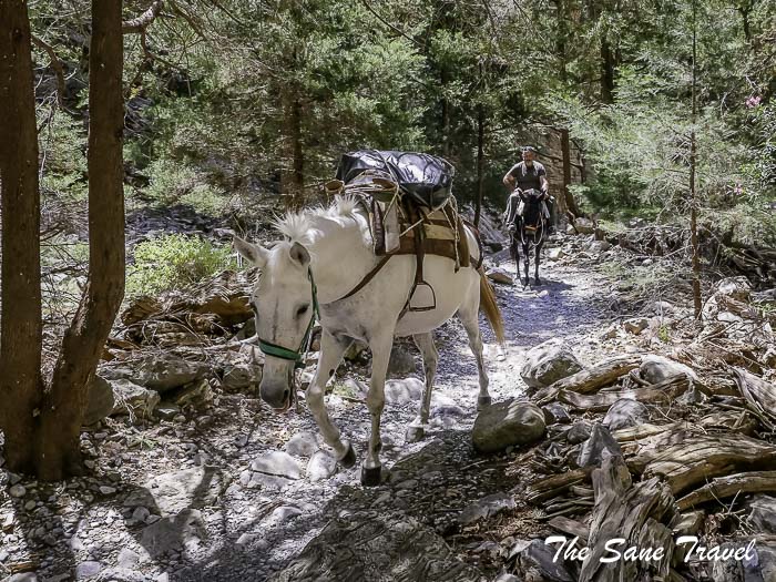 59 samaria thesanetravel.com P1041436