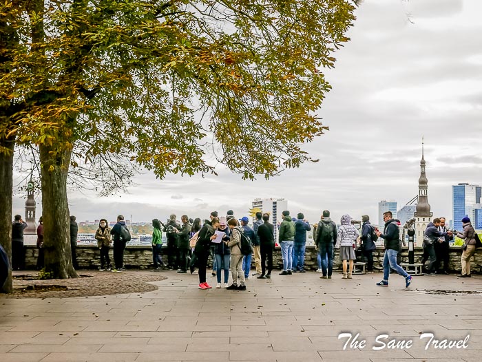 205 tallin thesanetravel.com P1840385