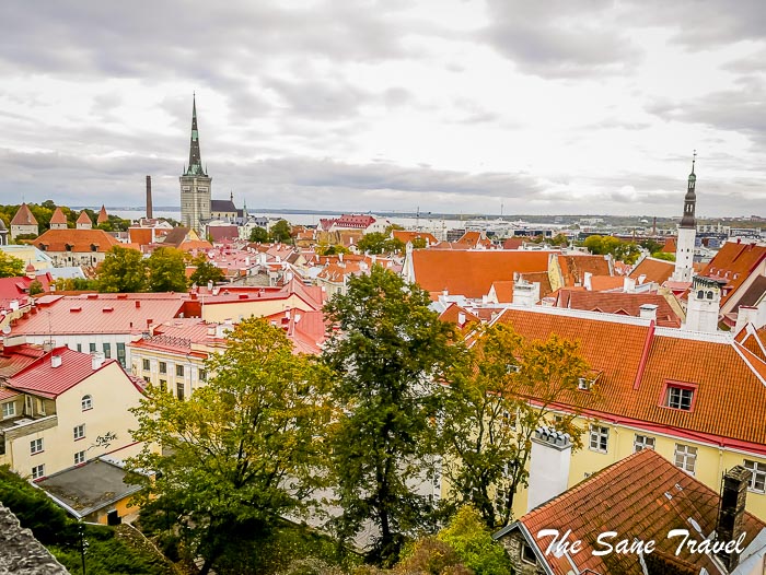 206 tallin thesanetravel.com P1840387