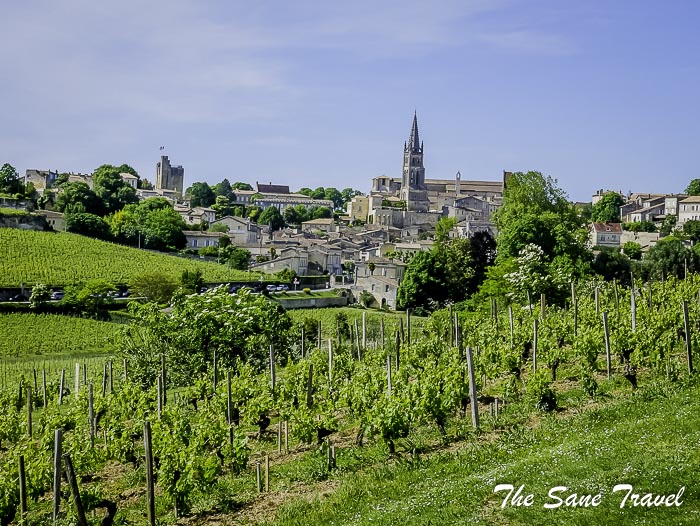 65 sant emilion vineyards thesanetravel.com P1720713