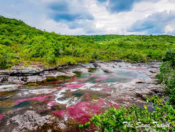 36 cano cristales colombia thesanetravel.com P1880630