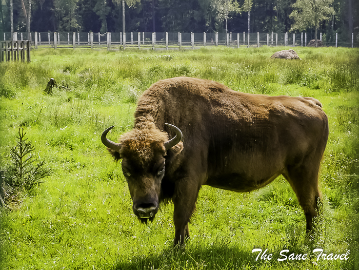 29belarus thesanetravel.com 1120798