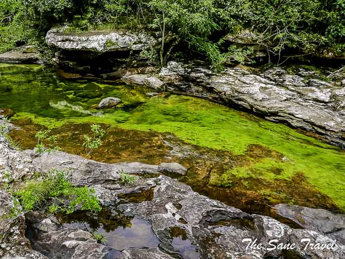 67 cano cristales colombia thesanetravel.com P1880520