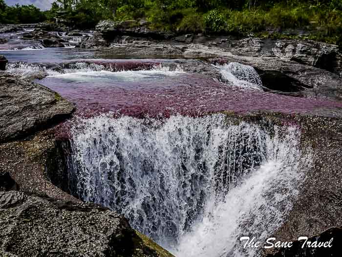 82 cano cristales colombia thesanetravel.com P1880608