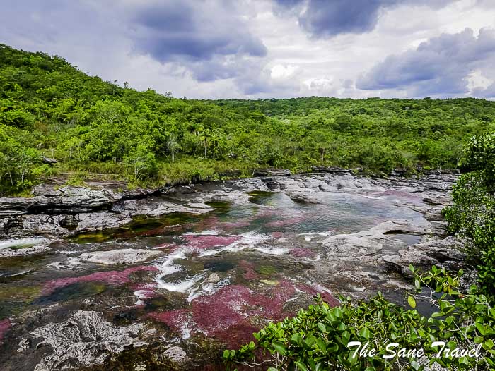 87 cano cristales colombia thesanetravel.com P1880630