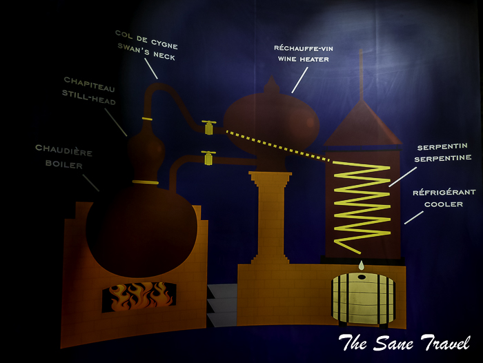 55 cognac thesanetravel.com 1700846