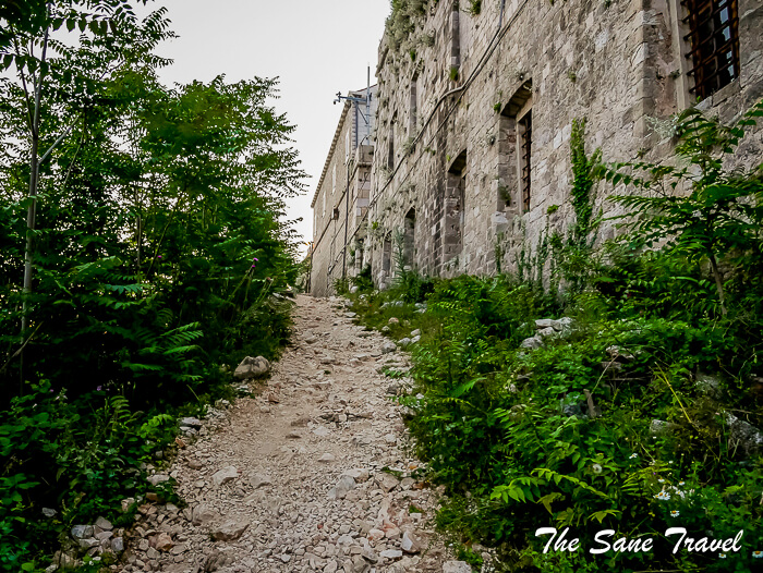 51dubrovnik thesanetravel com P1750290