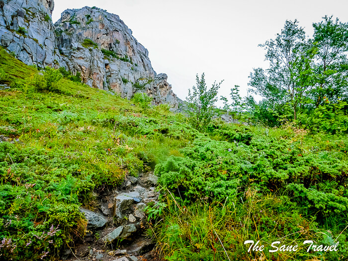 23 lofoten thesanetravel com P1800018