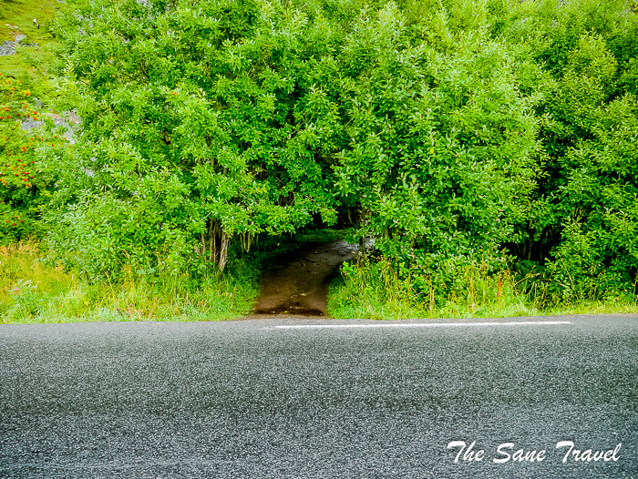 24 lofoten thesanetravel com P1800032