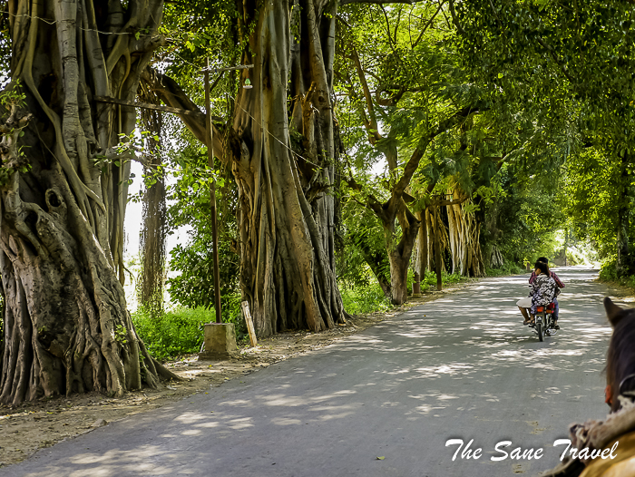 35innwe ava myanmar thesanetravel.com 1620719