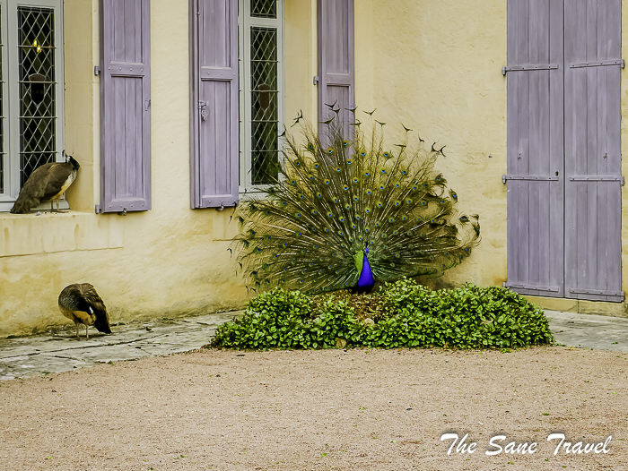 31gardens perigord thesanetravel.com 1710477