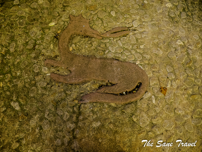 61 sarlat france thesanetravel.com 1710715