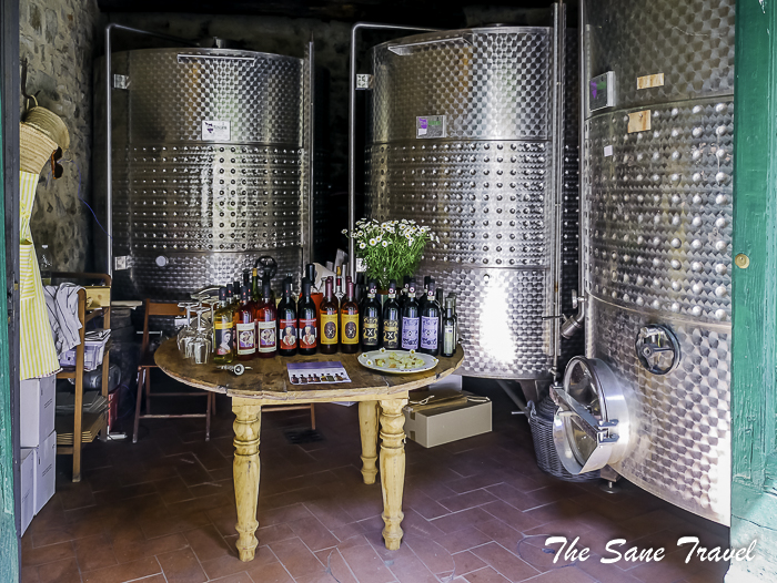 133panzano in chianti tuscany thesanetravel.com 1440951