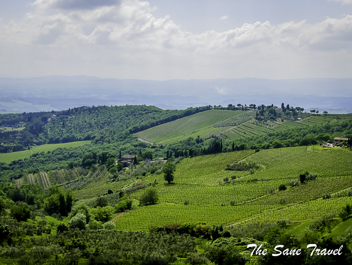 141castellina in chianti tuscany thesanetravel.com 1450021