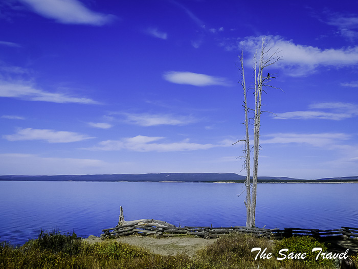 20 yellowstone lake usa P1820693