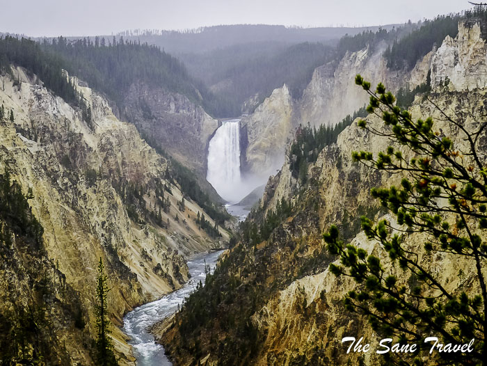 65 grand canyon yellowstone usa P1830189