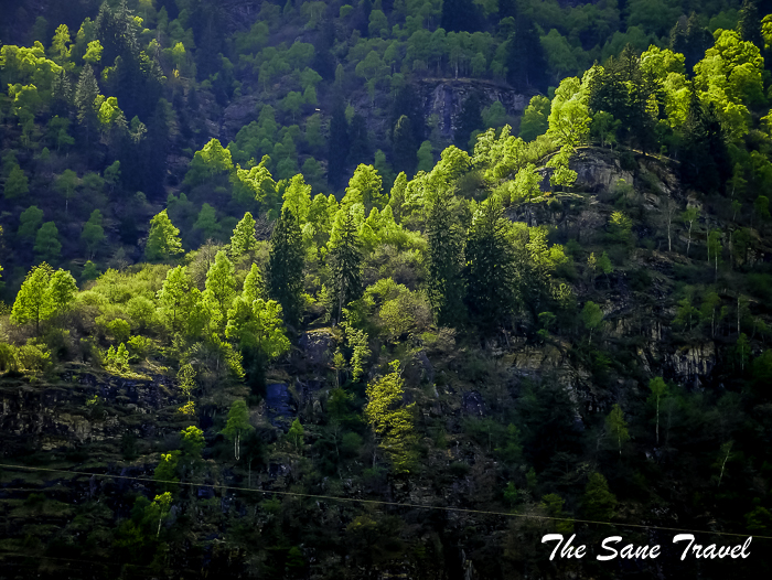 46gotthard panorama express thesanetravel.com 1690421