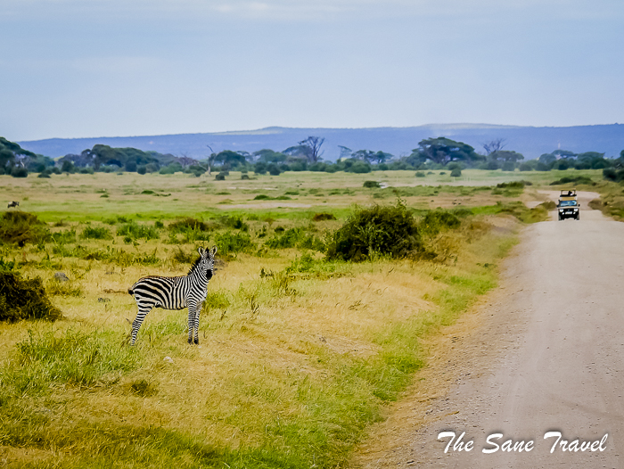 60 amboseli kenya thesanetravel.com 1500126
