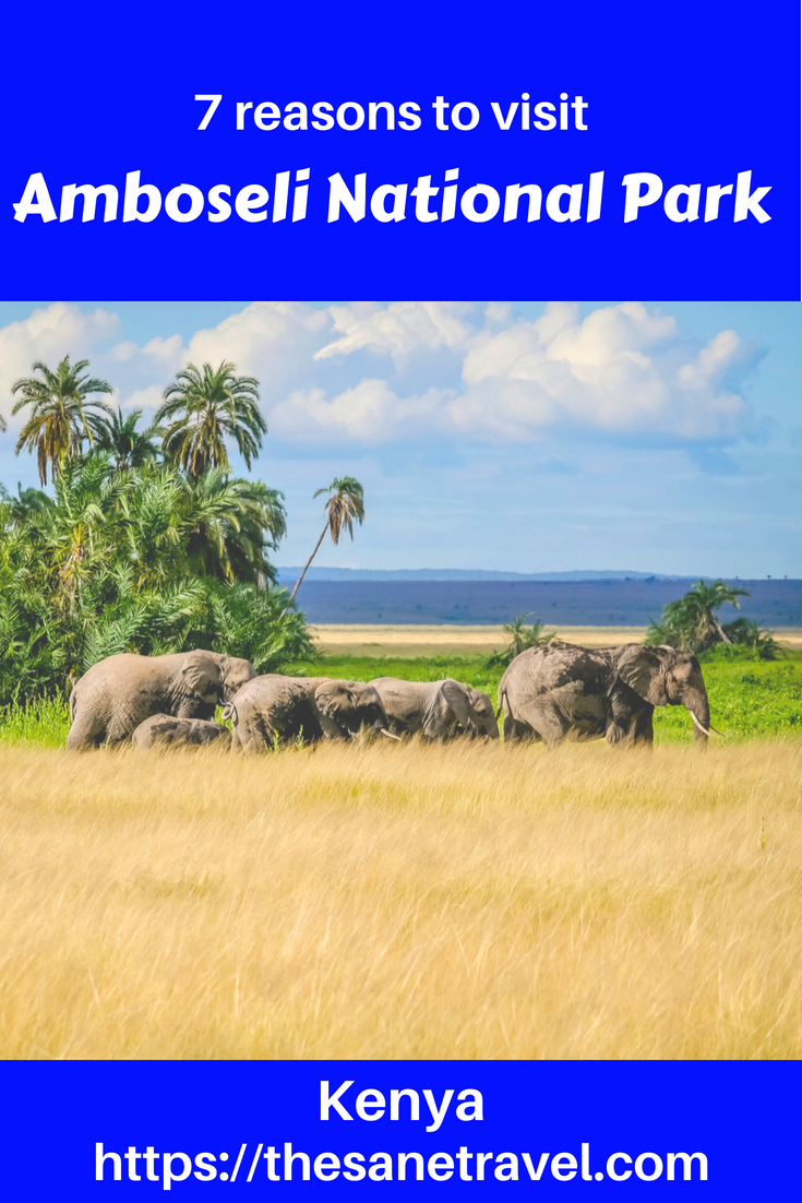 Have you ever dreamed about African safari? Then Amboseli National Park in Kenya has to be on your list! It’s one of the most popular Kenya National parks with awesome views of Mount Kilimanjaro an opportunity to stay in awesome Amboseli Serena lodge. Save those great reasons to visit Amboseli National Park to your travel board so you can find it later. #travel #africansafari #amboselinationalpark #kenyanationalparks #amboseliserenalodge  #mountKilimanjaro #travelphotography #travelblog