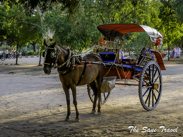 88horse carriage bagan thesanetravel.com 1610455