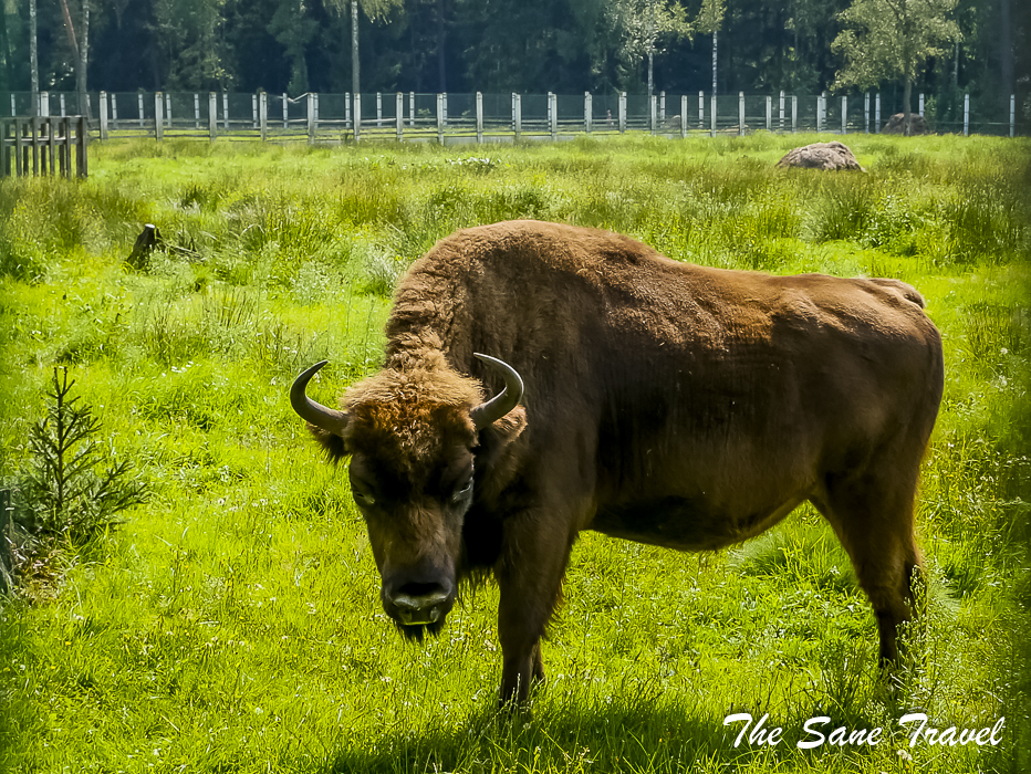 42 brest visa free thesanetravel.com 1120798