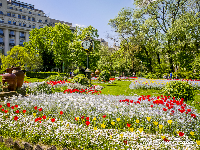 45 bucharest sightseeing thesanetravel.com 1410278