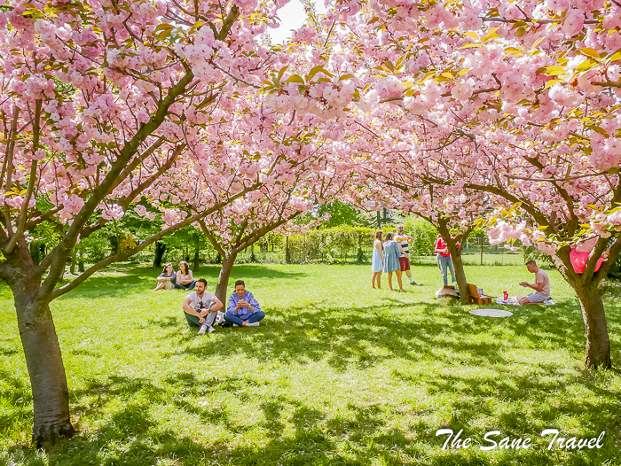 72 bucharest sightseeing thesanetravel.com 1410459