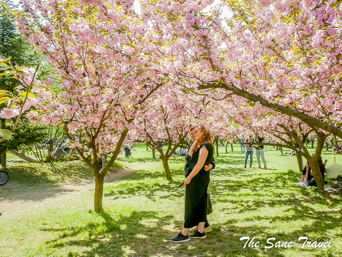 73 bucharest sightseeing thesanetravel.com 1410422