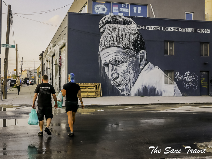 71 77 bushwick street art nyc thesanetravel.com 1560349