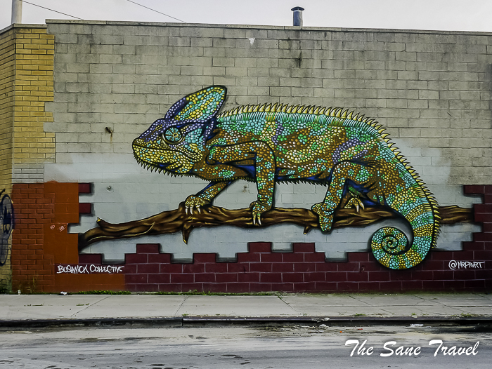 72 bushwick street art nyc thesanetravel.com 1560331