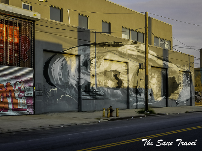 87 bushwick street art nyc thesanetravel.com 1560345