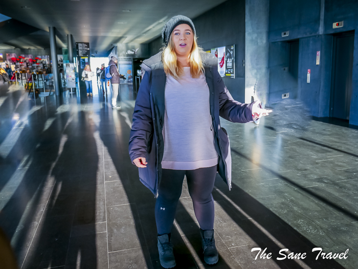 10reykjavik food tour thesanetravel.com 1350520