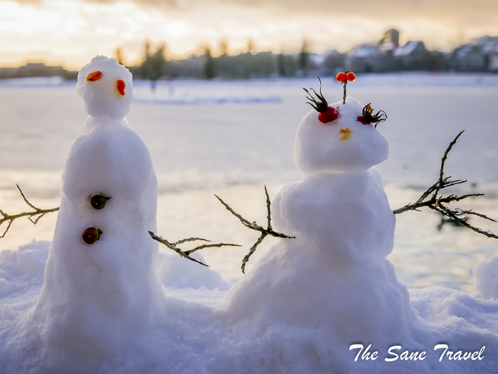 26reykjavik food tour thesanetravel.com 1350601