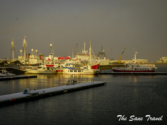 32reykjavik food tour thesanetravel.com 1350684