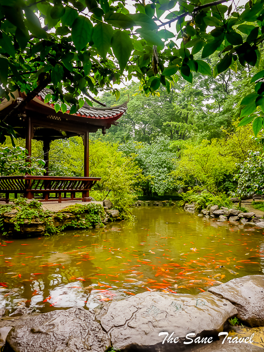 27 leshan buddha china thesanetravel.com 1010504