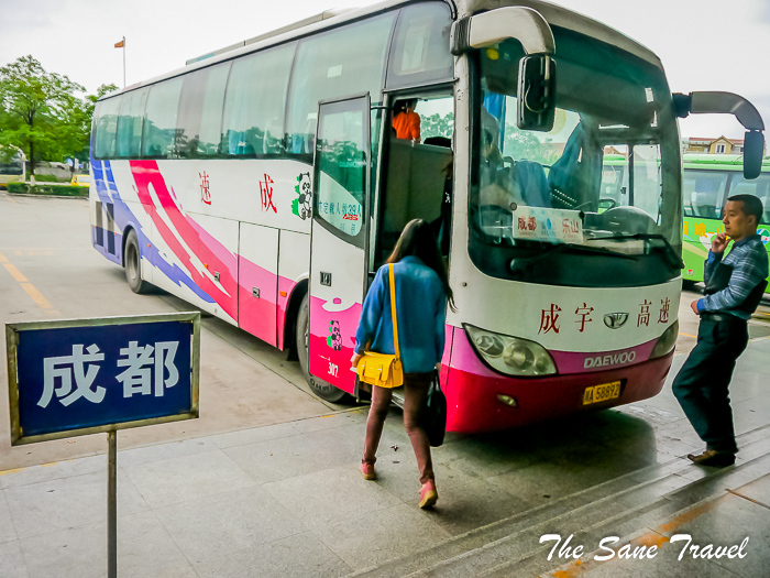 33 leshan buddha china thesanetravel.com 1010695