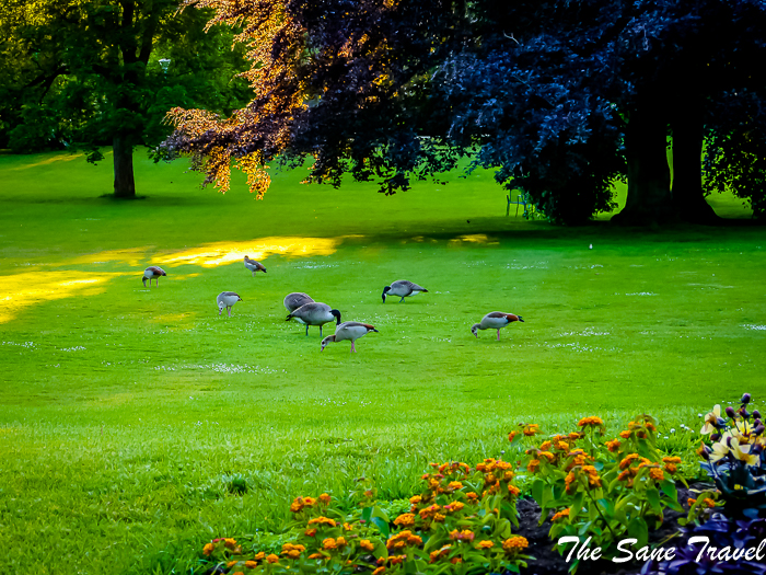 39 luisenpark mannheim www.thesanetravel.com 1420950