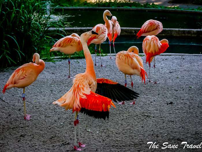 47 luisenpark mannheim www.thesanetravel.com 1420465