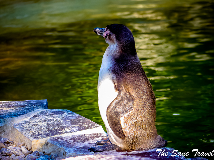 50 luisenpark mannheim www.thesanetravel.com 1420666