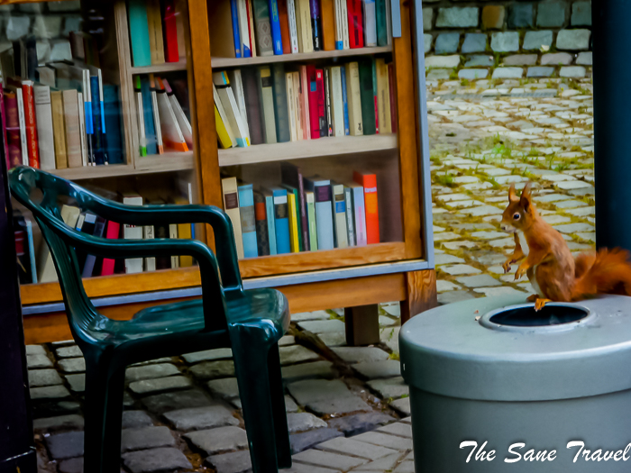 51 luisenpark mannheim www.thesanetravel.com 1430417